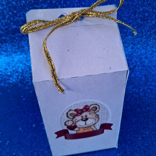 Lembrancinha crianças jw 2